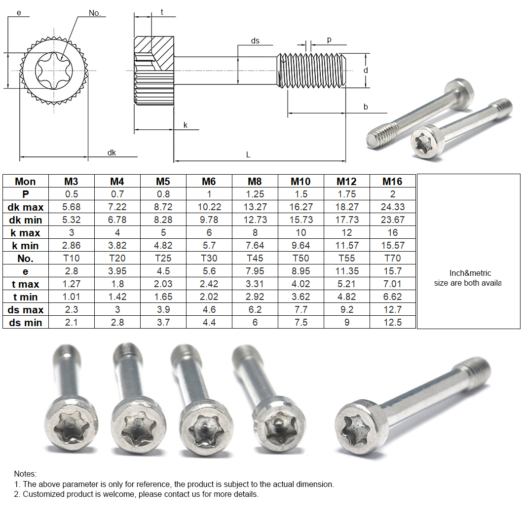 Parafusos cativos de cabeça de soquete Torx-5B-14